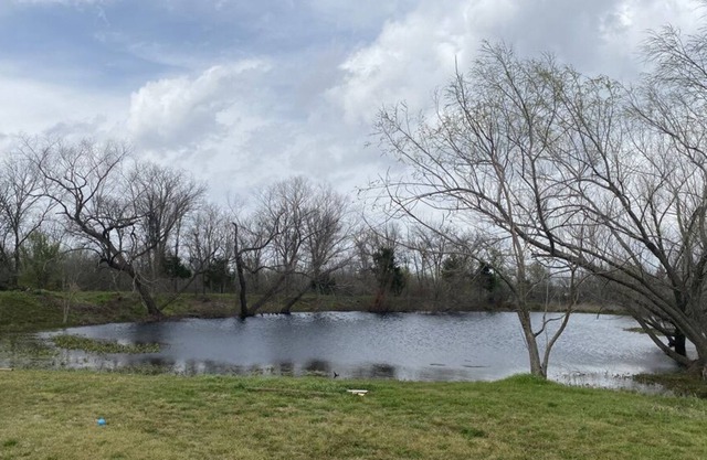 8 Minutes from COTA - 6 acre lot