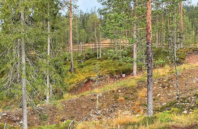 8 personas casa en SÄLEN