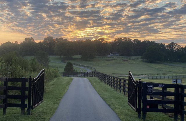 80 acre Kentucky Horse Farm 6BR/ 4BA 30 mins. to Derby 10 mins. to PGA.