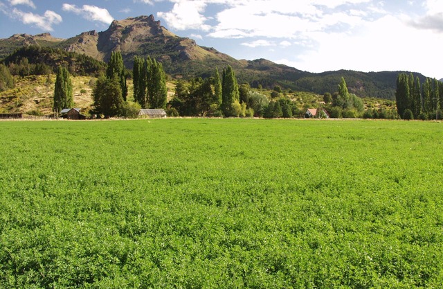 Rancho de 880 acres en el distrito de los lagos de Argentina