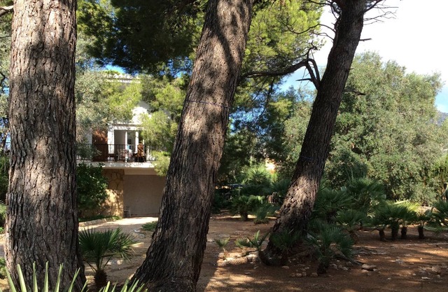 Villa Cataluña en el corazón de una de pinos y olivos a las playas