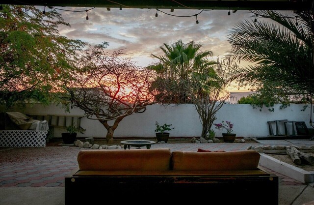 A Cabo Haven in a huge yard full of endemic trees and flowers (Pet Friendly!)