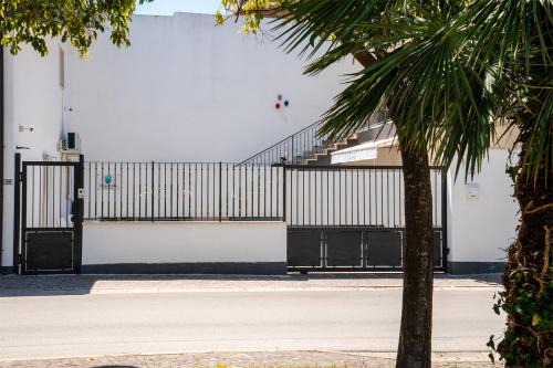 A CASA DI FALCO 2