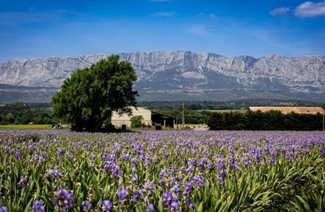 A CHARMING, RELAXING & EXOTIC SETTING MINUTES FROM TRETS