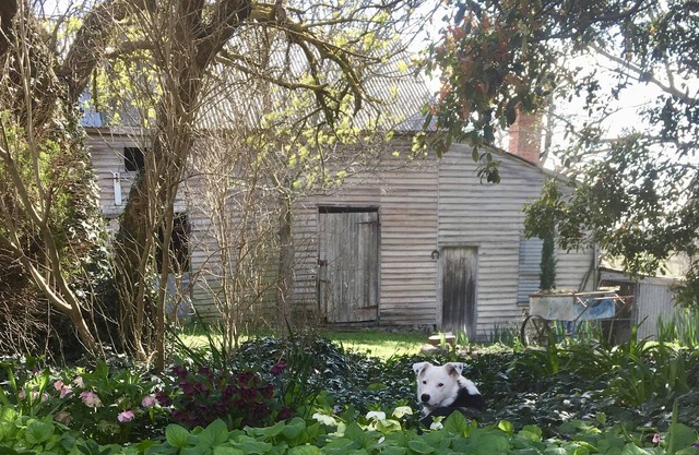 Una cabaña independiente de 1860 con entrada privada y área de jardín aislada
