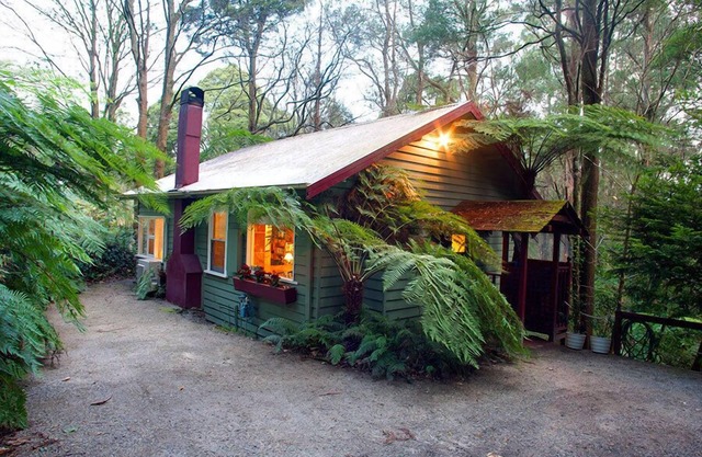 A Cottage in the Forest