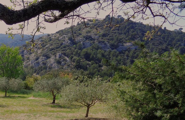 A DREAM VACATION IN AN IDEAL PLACE IN THE HEART OF THE ALPILLES