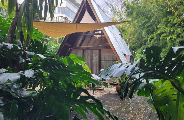 A-frame Studio in Parnell