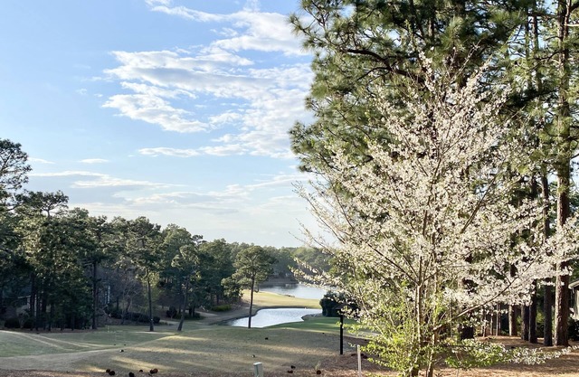 A Golf Front, 3 BR, 2BA, 4beds, Sleep 6 on Pinehurst #6