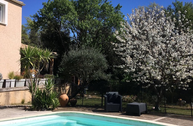 Un remanso de tranquilidad y frescura,