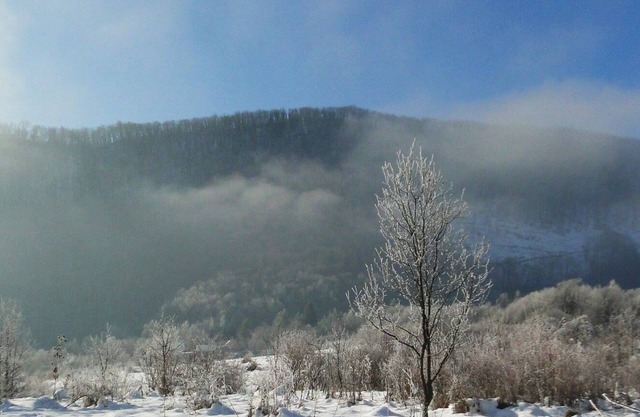 Un ambiente hogareño que garantiza un buen momento junto con la naturaleza virgen.