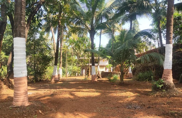 A Latent Farm stay