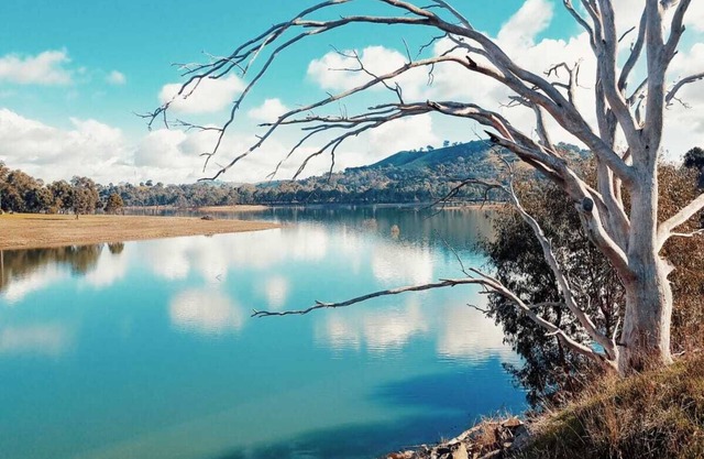 A little piece of paradise at Bonnie Doon - great for families and large groups.