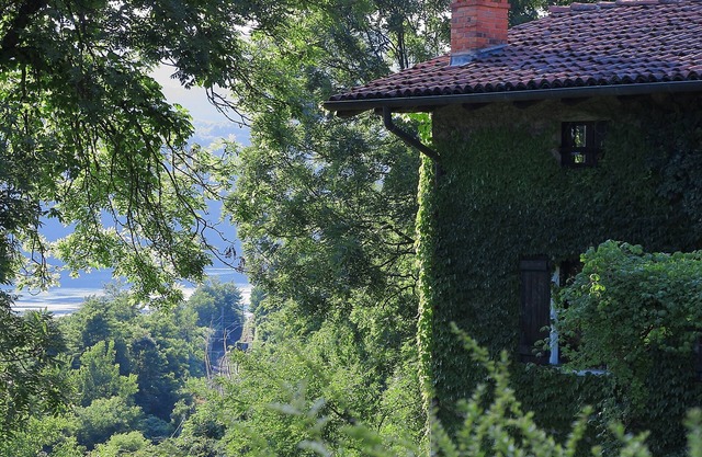 Un paraíso con vista al lago, casa grande con hermoso jardín privado