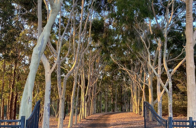 A Peaceful Retreat Nestled on the Banks of the Margaret River