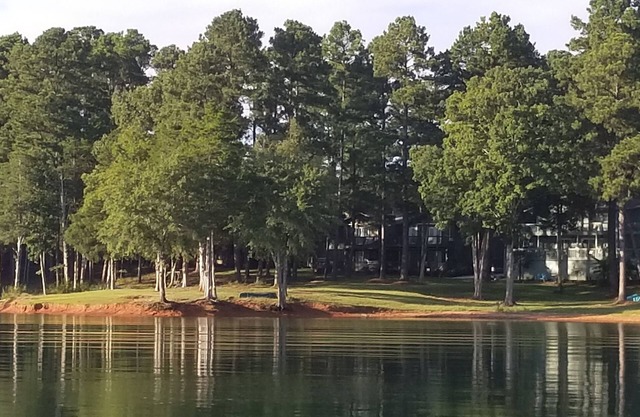 Una villa perfecta frente al mar en el lago Hartwell. Venga a relajarse, diviértase, aléjese!