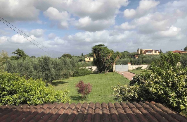A quiet corner in the Roman countryside, among olive trees and vineyards.