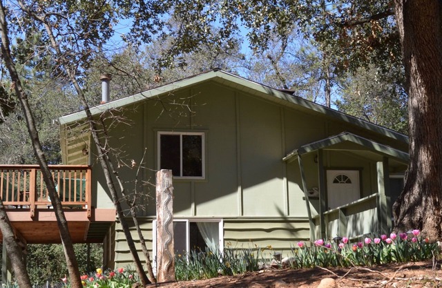 Una cabaña aislada en un acre de Woods-Julian Mountain Haven