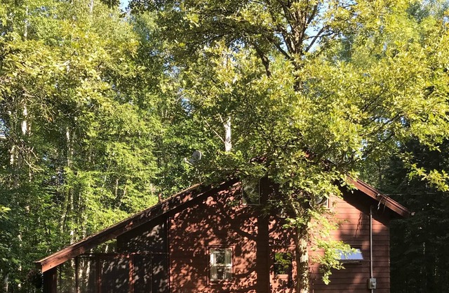 A secluded cabin on the wild and scenic kettle river