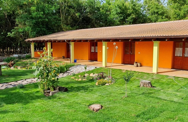 Una estancia llena de naturaleza.