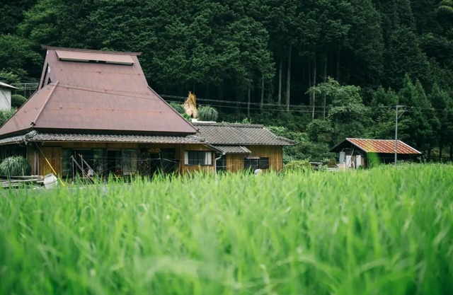 A thatchedroof farmhouse nestled in nature at the foot of Mount Koya / Ito-gun Wakayama