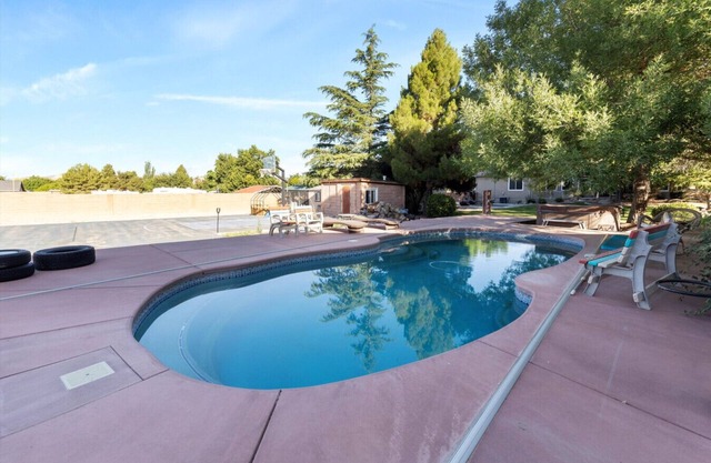 A True Gem | Spacious Backyard