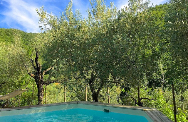 Villa toscana, pequeña piscina privada y jardín de olivos, mucho encanto