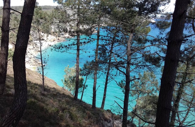 Una casa cálida, un bonito jardín, GR34 y a 10 minutos de las playas.