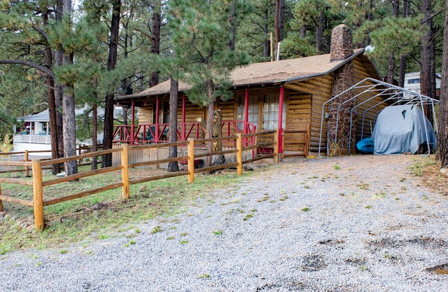 A Yogi Bear Cabin nestled in the PInes