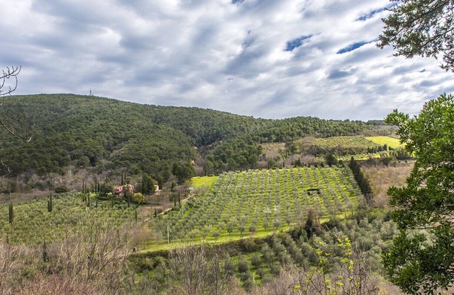 A19 - Massignano, bright outbuilding surrounded by greenery