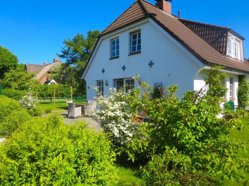 Aapelwin auf Föhr