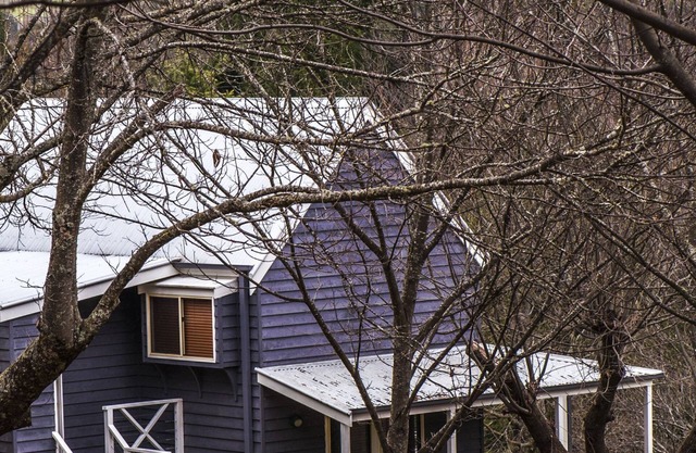 Abby Cottage Bright