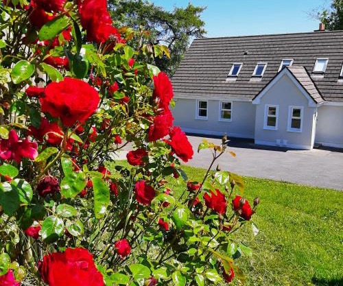 Abhainn Ri Cottages