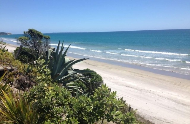 Absoluta frente a la playa Pukehina