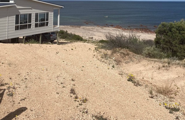 Absolute Beachfront