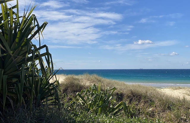 Absolute beachfront- Bush, Beach, Dogs, Relax!
