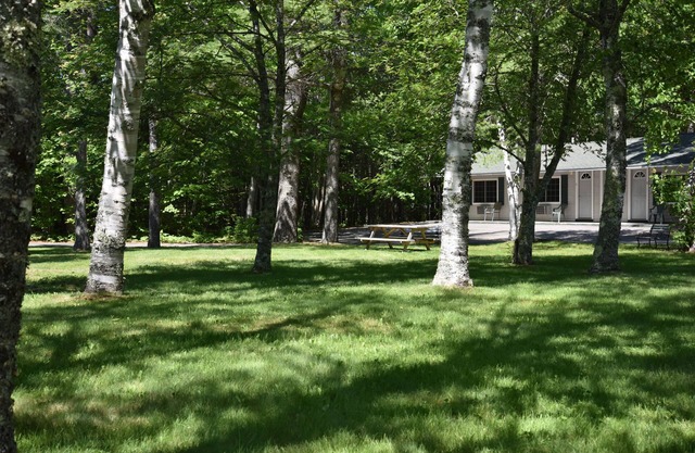 Acadia Pines Motel