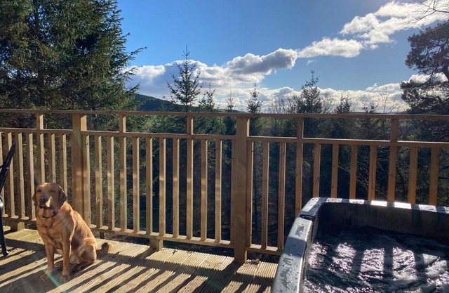 Acorn Lodge with Hot Tub