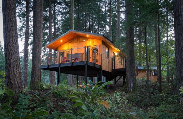 ADA Luxury Tree House in Heart of Washington