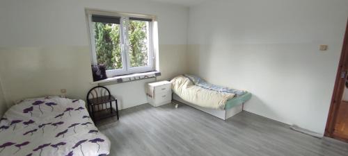 Adam room 1