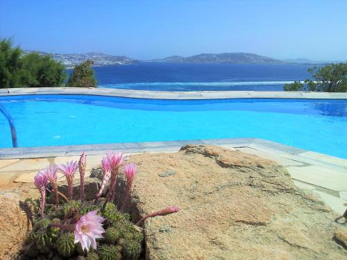 Adikri Villas & Suites