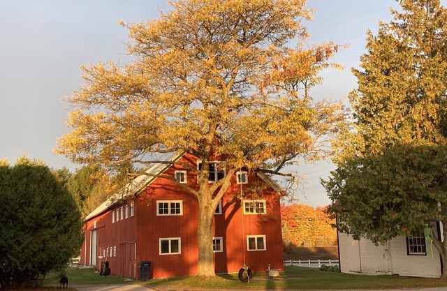 Adorable apartment close to Traverse City in a beautiful farm setting