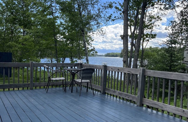 Adorable one bedroom cabin on Little Lake, centrally located near Trail 8