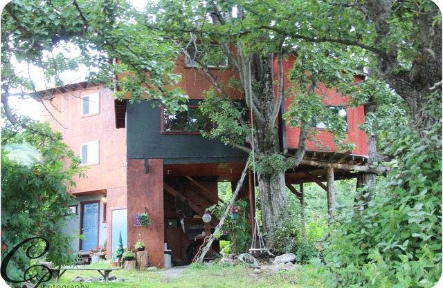 Casa en el árbol / Ammenities completo