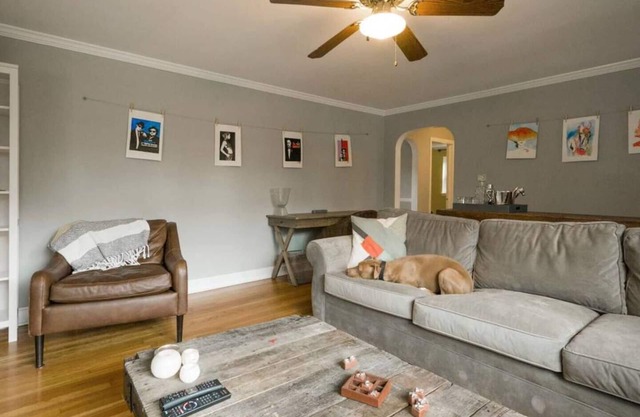 3 Revere · Canine Cottage @ Berwyn MainLine