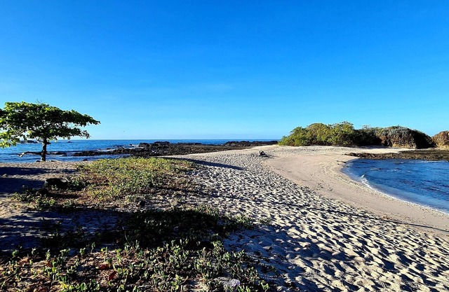 rodeado de Naturaleza y tranquilidad a 6 Km de Ostional Pet friendly Adventure22