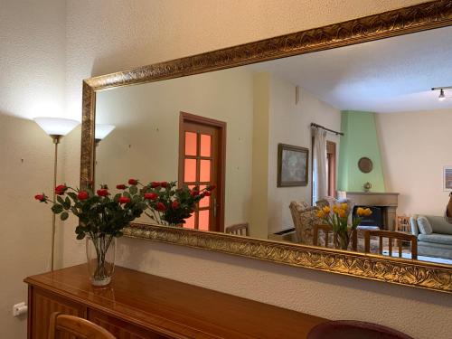 Aelias home