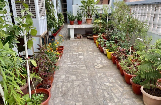 Affordable and Combatable stay in the heart of city with nearby site seeing.