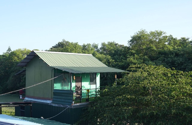 Affordable Family homestay ,Bachelor homestay with Jungle safari In Masinagudi