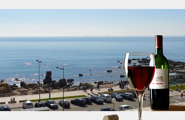 Apartamento Lujo accesible con excelente vista al mar a 10 minutos de Oporto